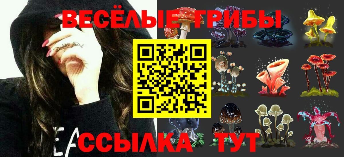 закладки  Псилоцибиновые грибы прущие грибы  Вход с VPN  Старая Купавна 