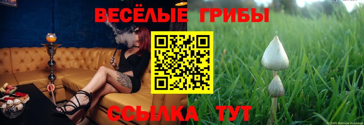 Галлюциногенные грибы GOLDEN TEACHER Старая Купавна